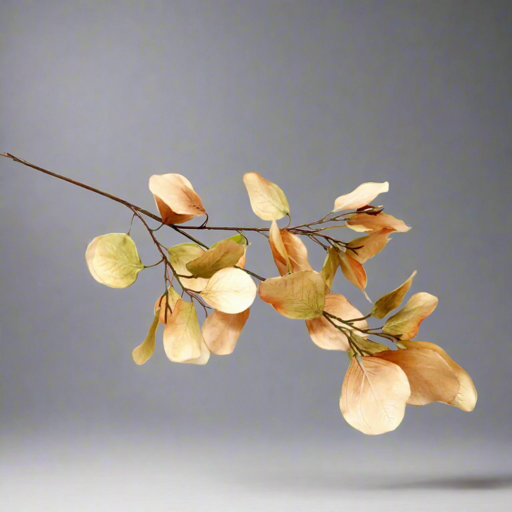 Eucalyptus Natalia decorative home ornament