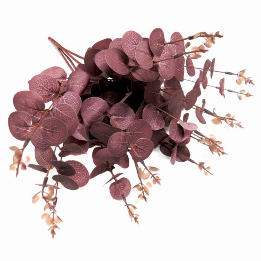 Eucaplum Bunch