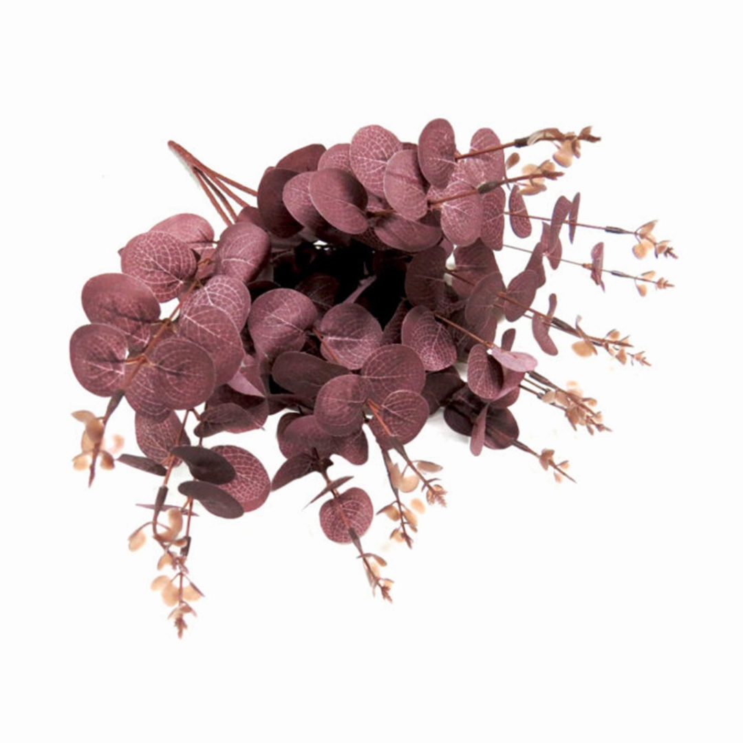 Eucaplum Bunch