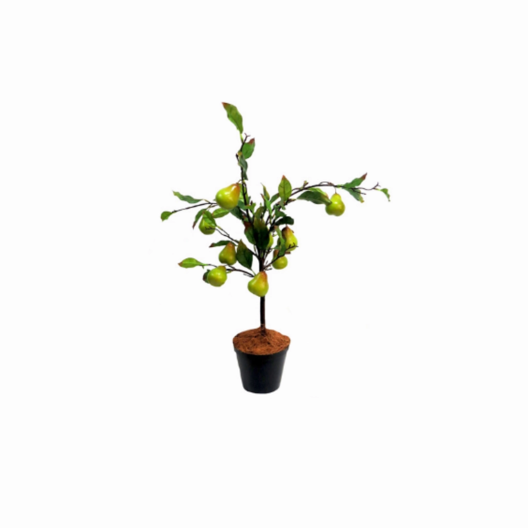 Fantasy pear tree