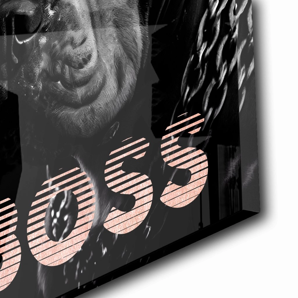 Fearless Boss by Adrian Vieriu Ros on Acrylic