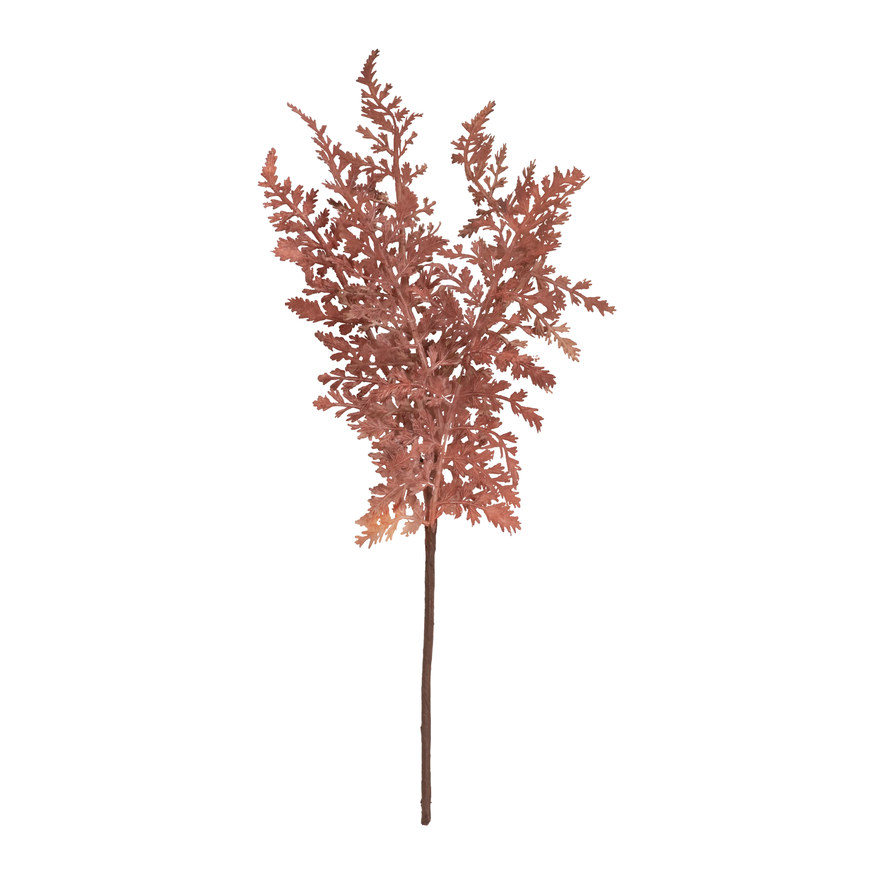 Fern Bush Stem creative interior decor