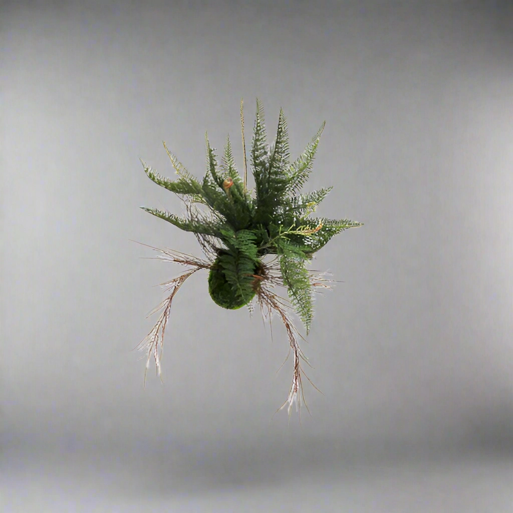 Fern ball Majesty decorative home ornament