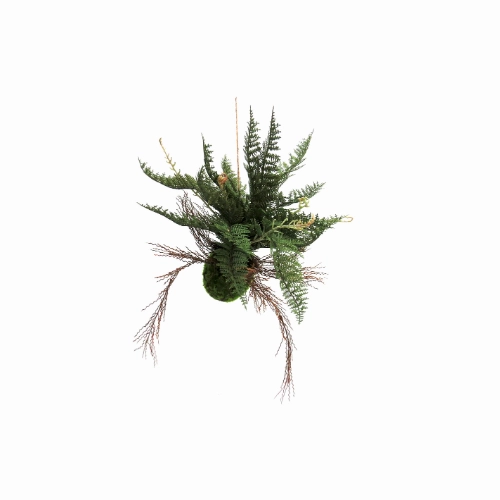 Fern ball Majesty