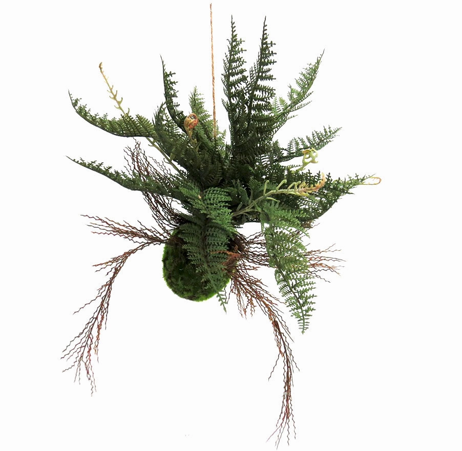 Fern ball Majesty