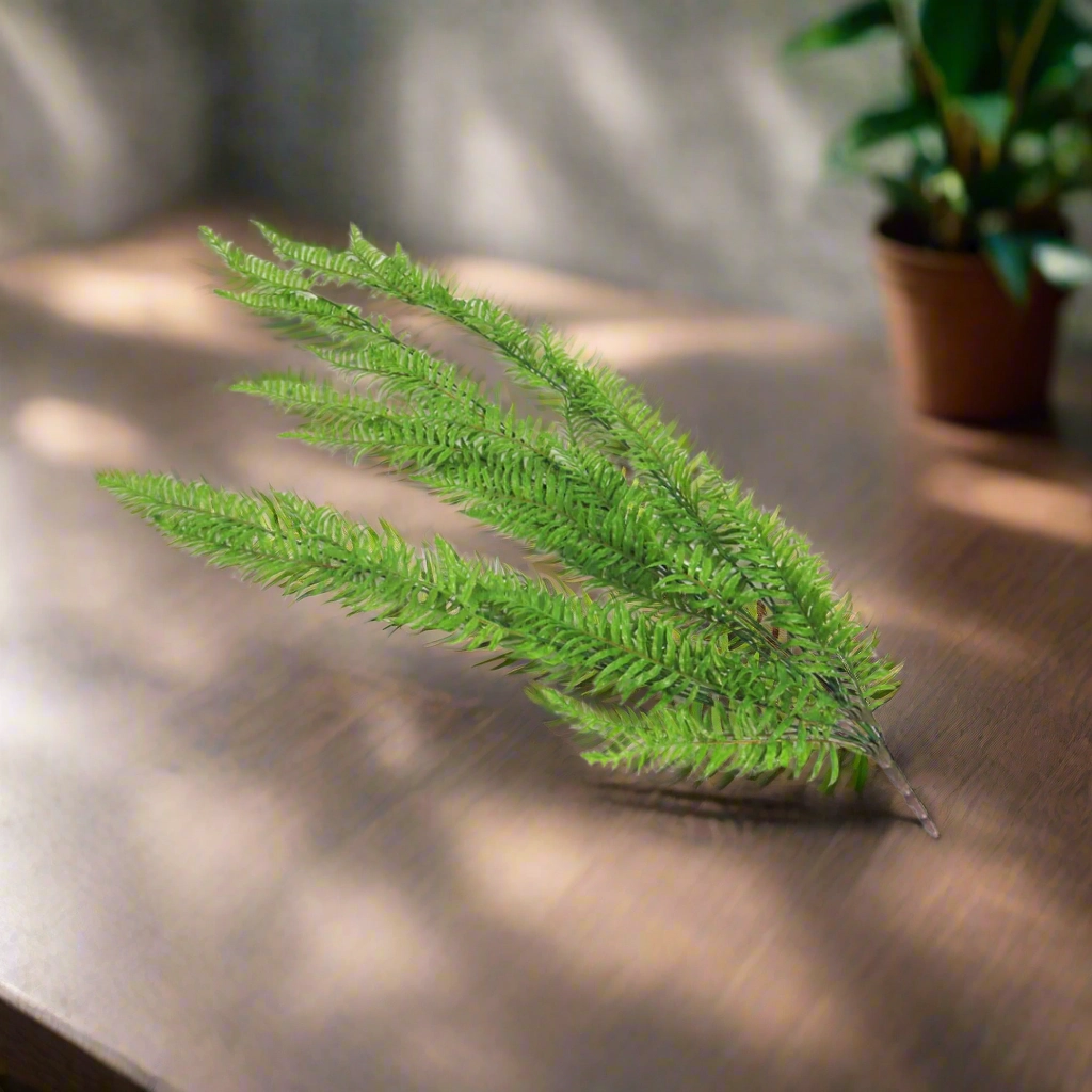 Fern Cedarberg