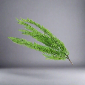 Fern Cedarberg decorative home ornament