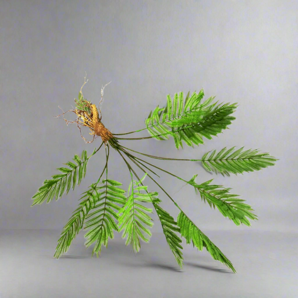 Fern Fanclub Rooted decorative home ornament