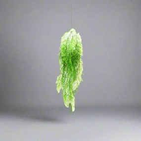 Fern long maiden decorative home ornament