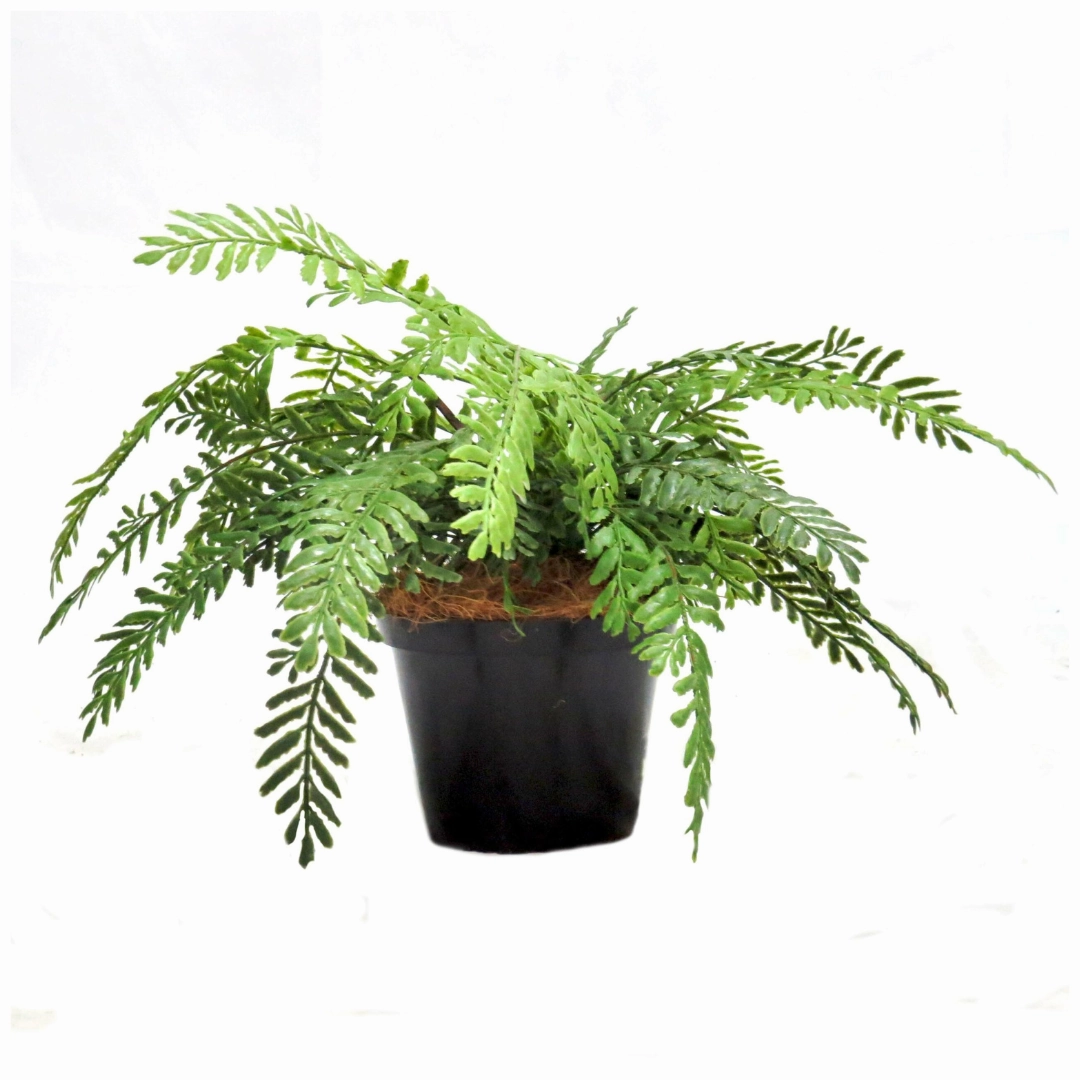 Fern Primo Artificial Plant