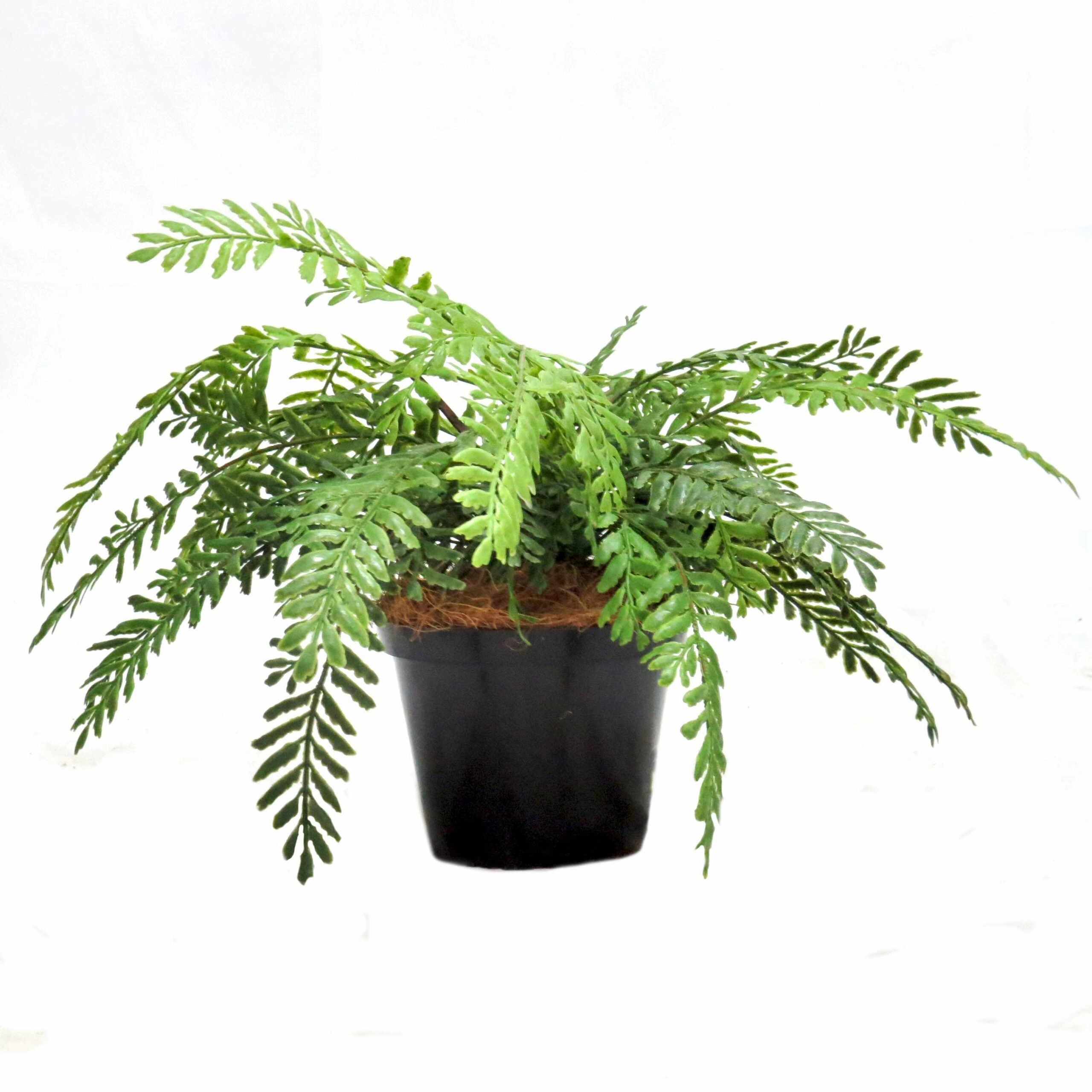 Fern Primo Artificial Plant