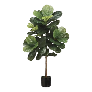 Fiddle Leaf Tree creative interior decor