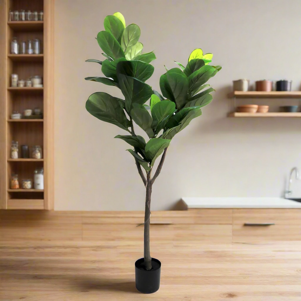 Fiddle Tree