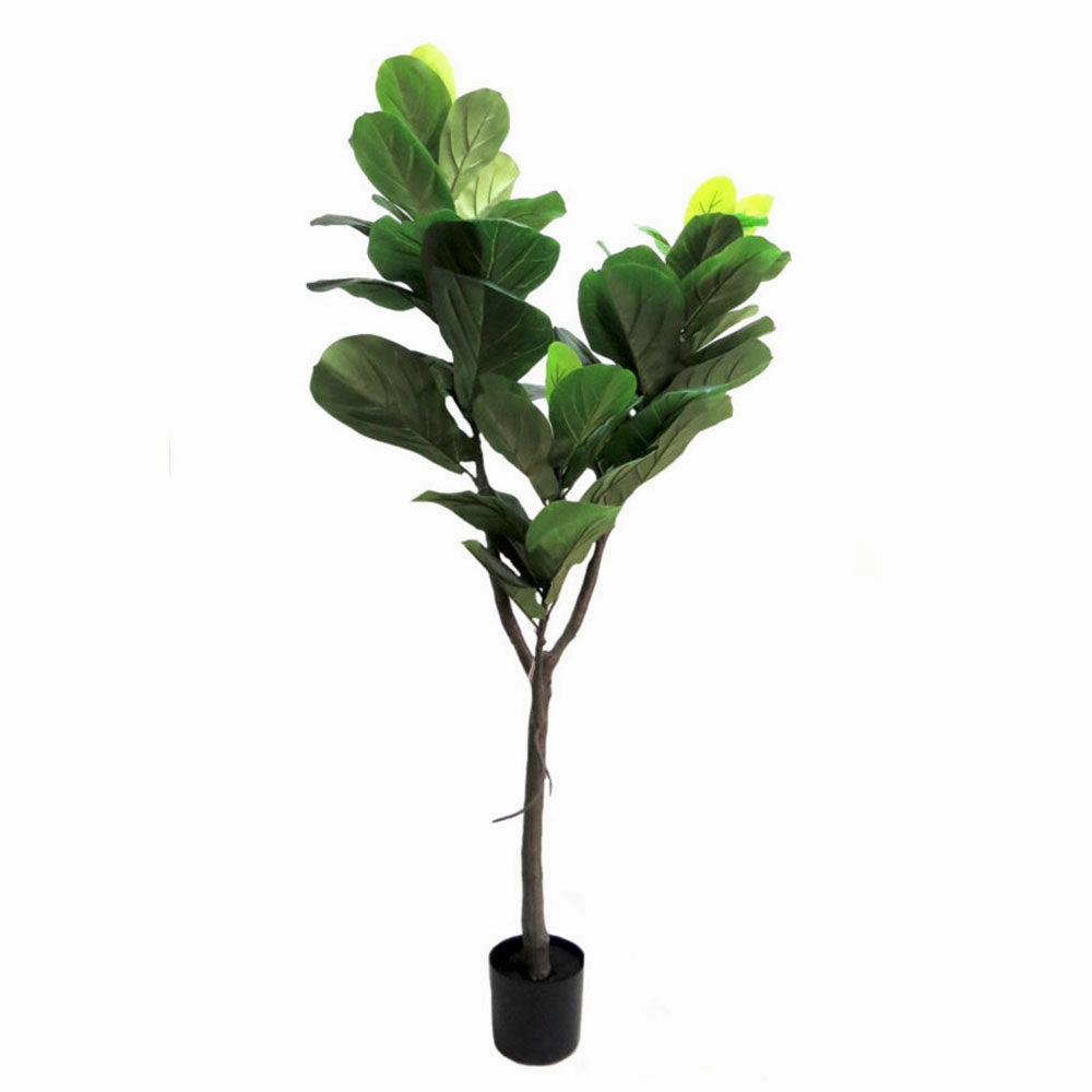 Fiddle Tree