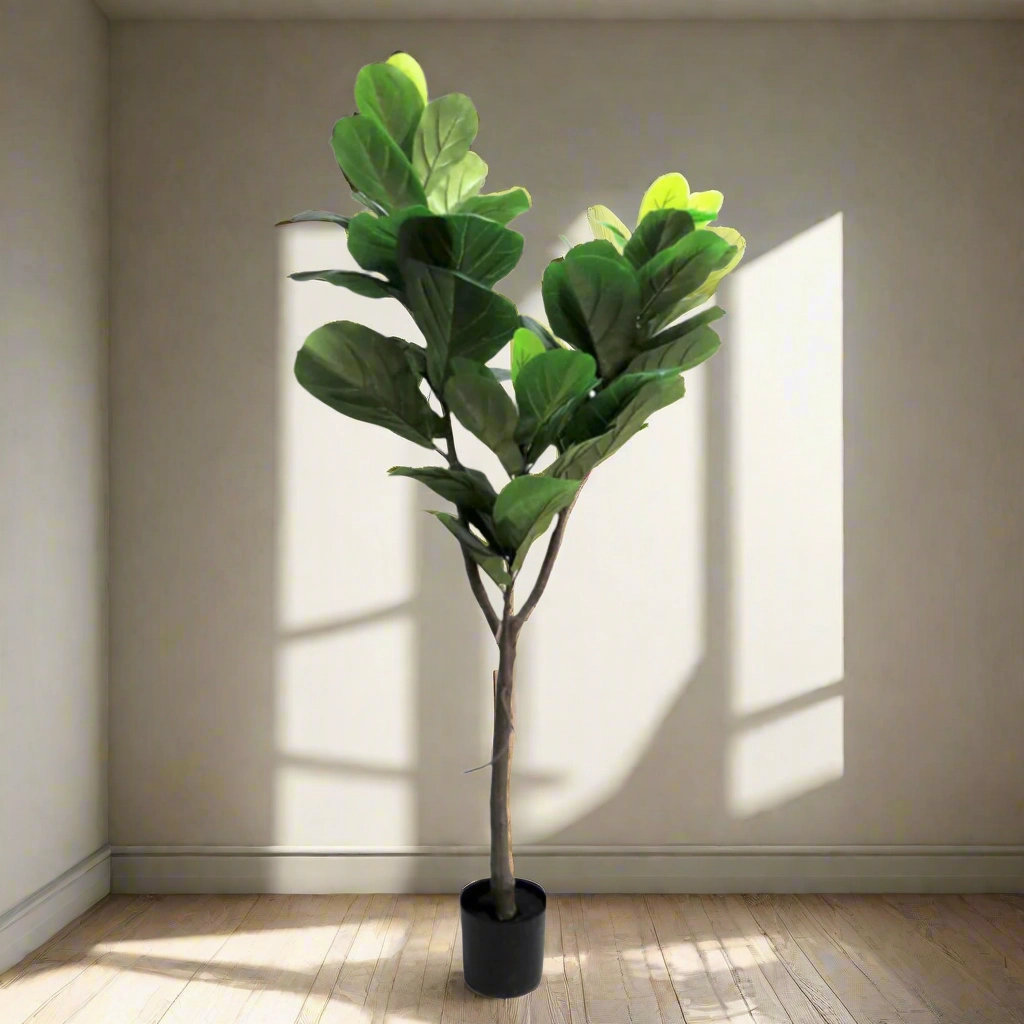 Fiddle Tree