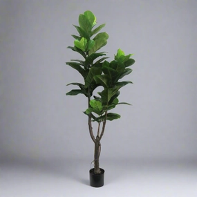 Fiddlefig decorative home ornament