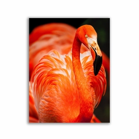 Flamingo framed mural artwork