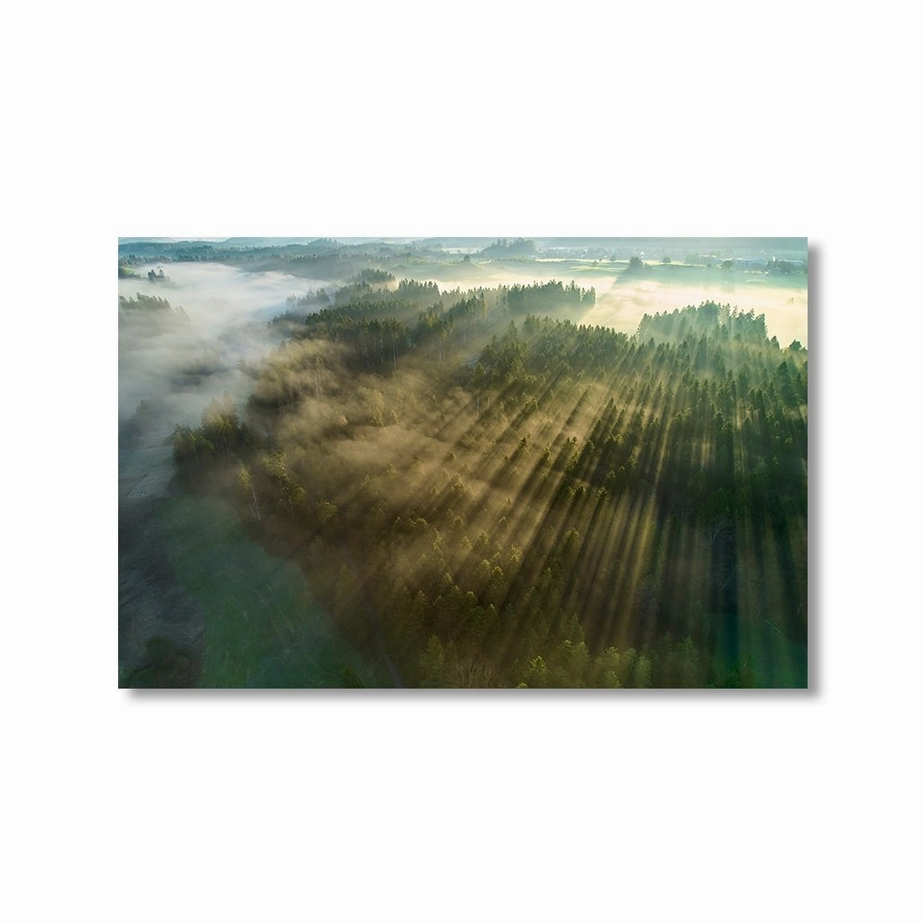 Foresight by Nenad Jovic framed mural artwork