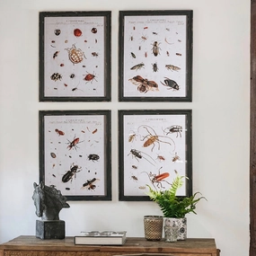 Four Assorted Framed Insect Prints 50cm modern mural painting