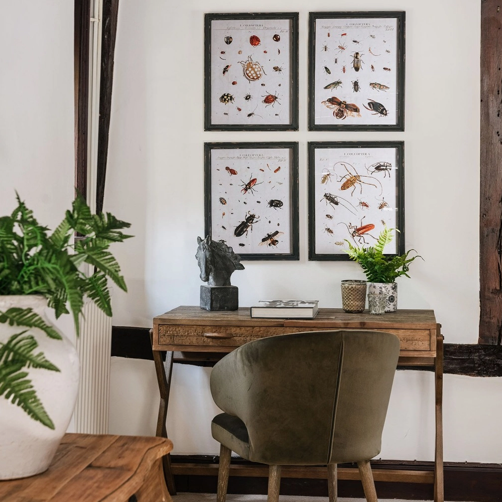 Four Assorted Framed Insect Prints 50cm