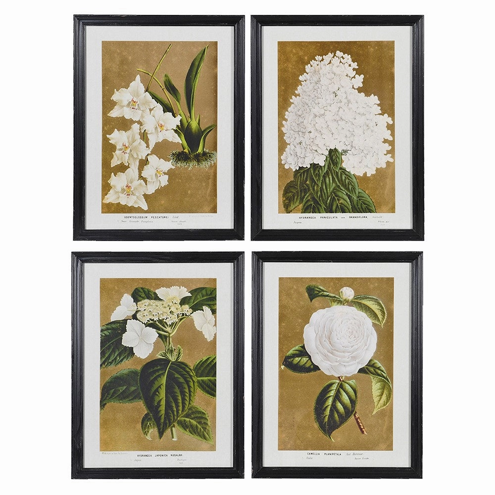 Framed Set of Four White Florals Wall Art 60cm modern mural painting