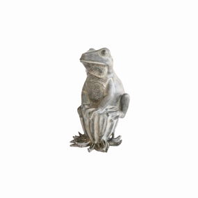 Frog sitting on seed pod 32X16cm decorative home ornament