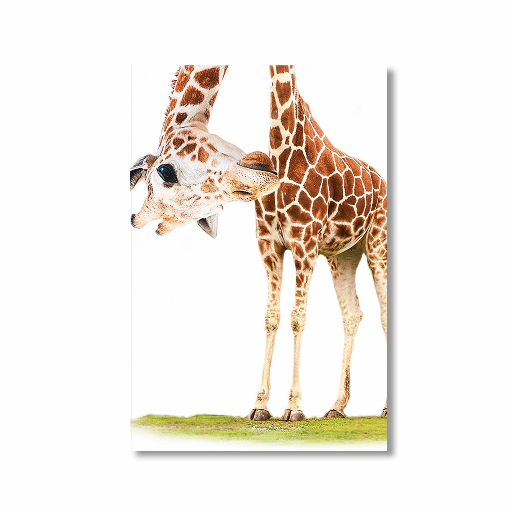 Funny Giraffe by Himmelmiez framed mural artwork