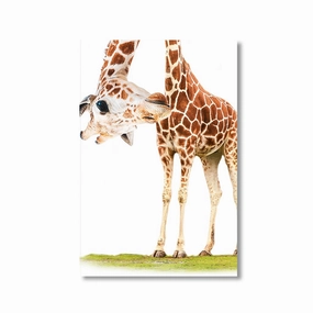 Funny Giraffe by Himmelmiez framed mural artwork