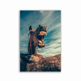 Funny Horse framed mural artwork