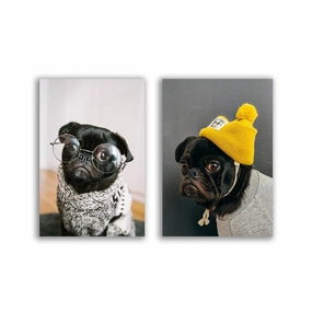 Funny Pugs - Duo framed mural artwork