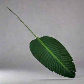 Giant Bird Of Paradise Leaf decorative home ornament