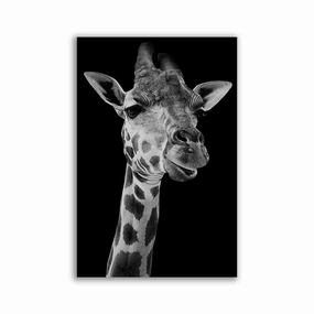 Giraffe Black/White framed mural artwork