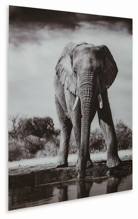 Glinyard Wall Art