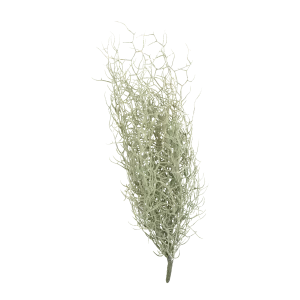Grass Bush Stem creative interior decor