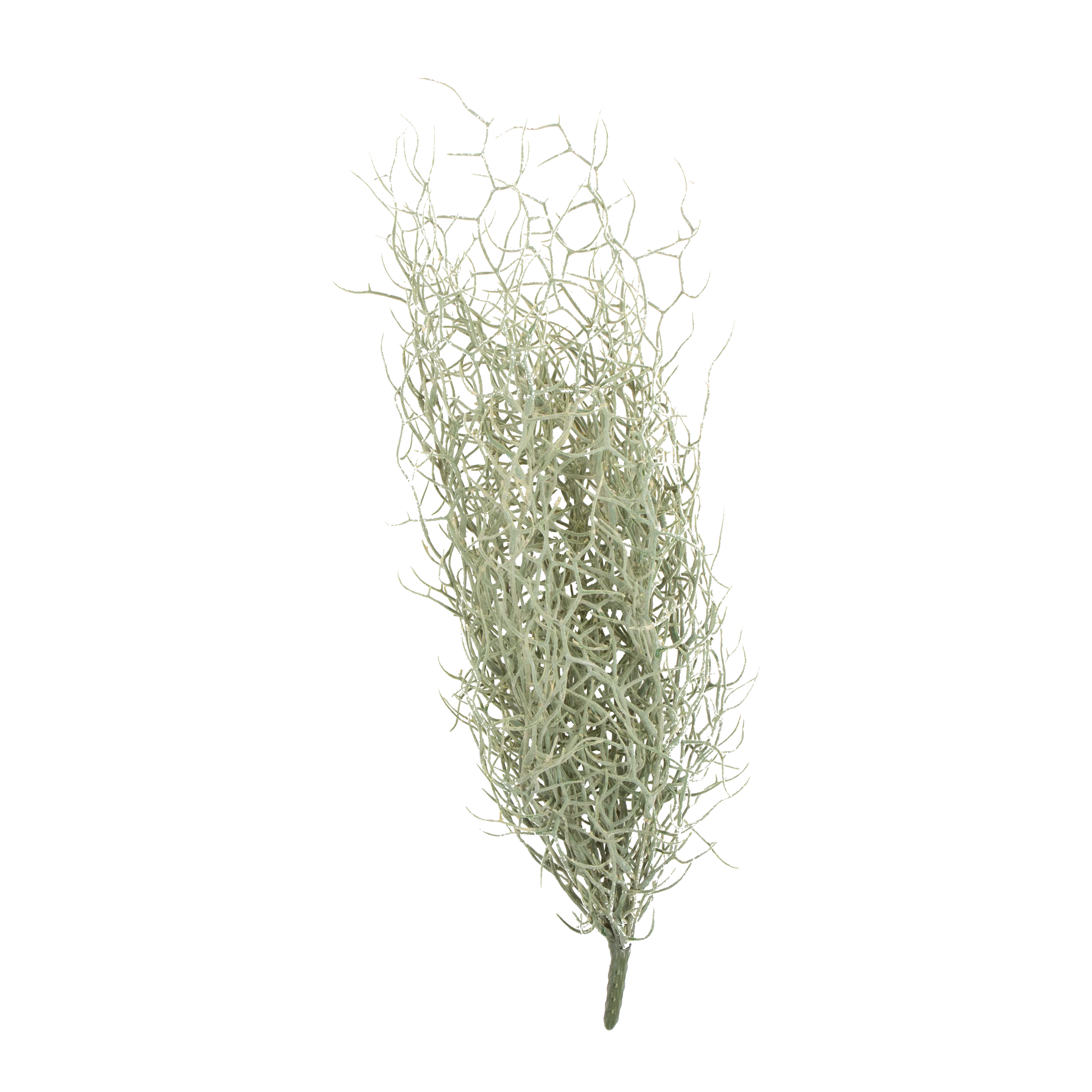 Grass Bush Stem creative interior decor