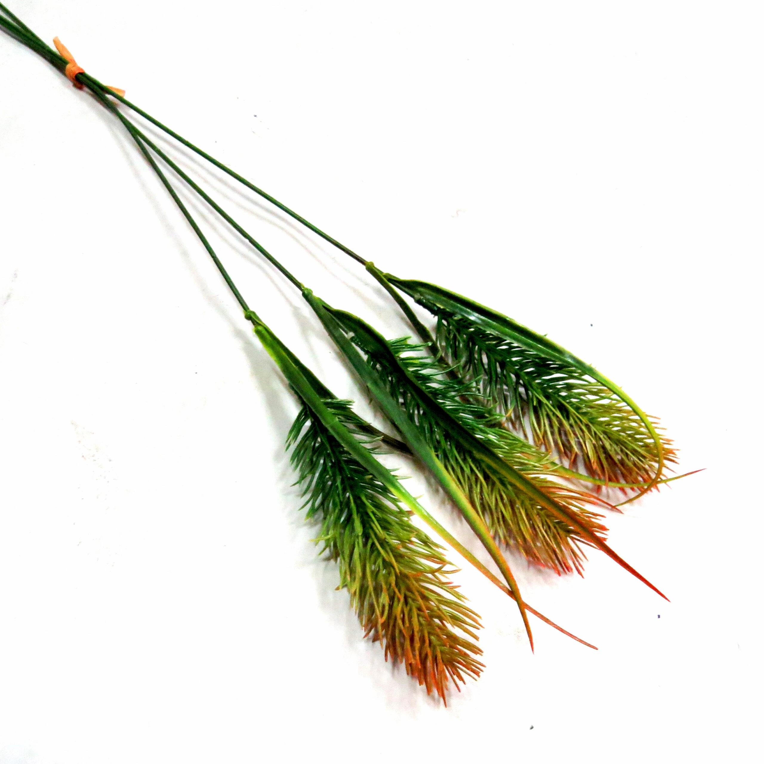Grasshead Burnish