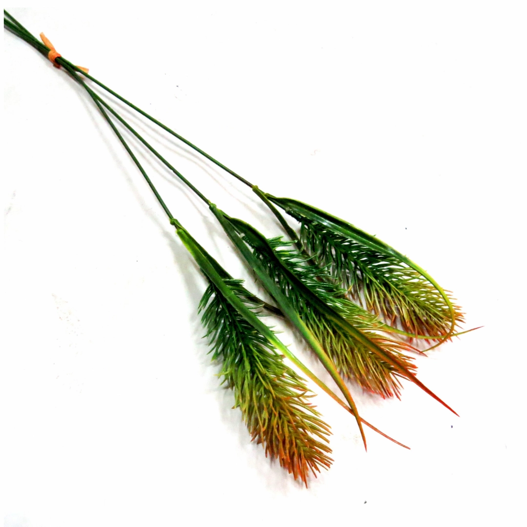 Grasshead Burnish