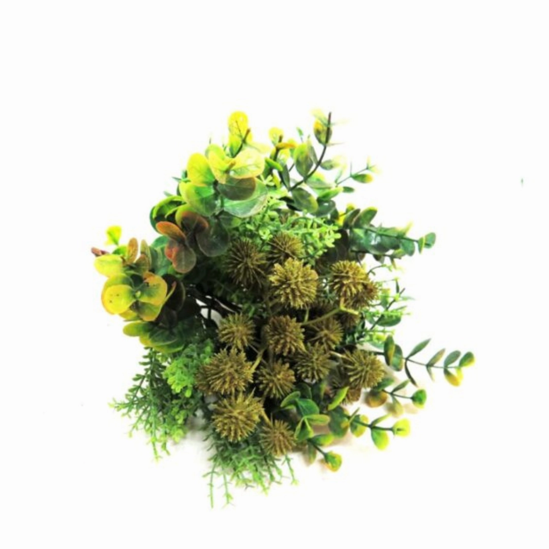 Grassland