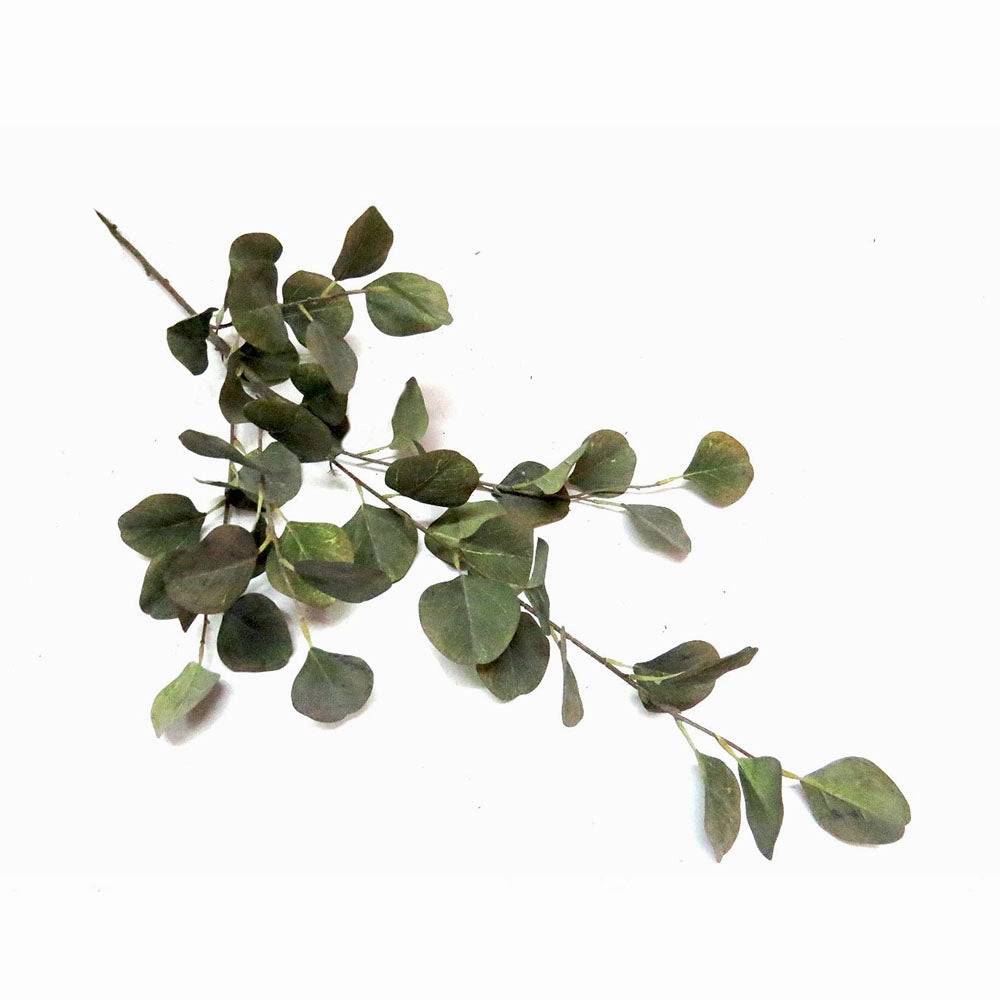 Grey Mist Euca Leaf