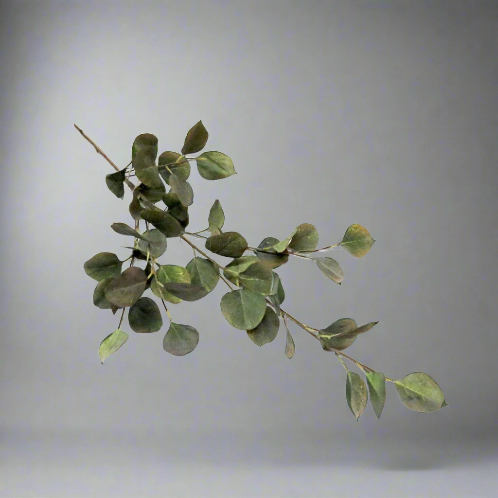 Grey Mist Euca Leaf decorative home ornament