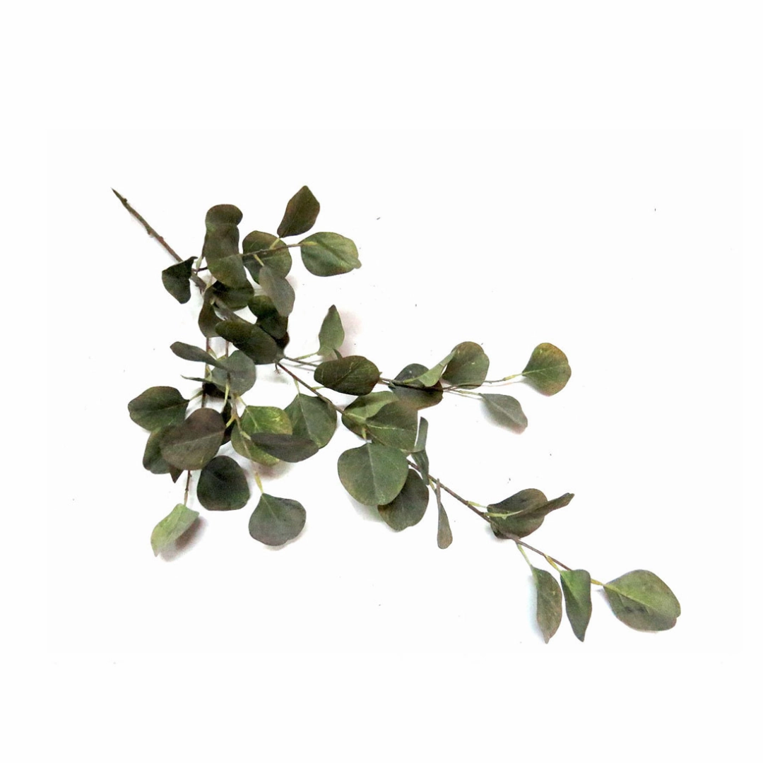 Grey Mist Euca Leaf