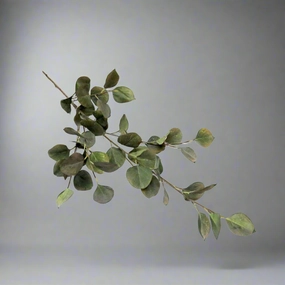 Grey Mist Euca Leaf decorative home ornament