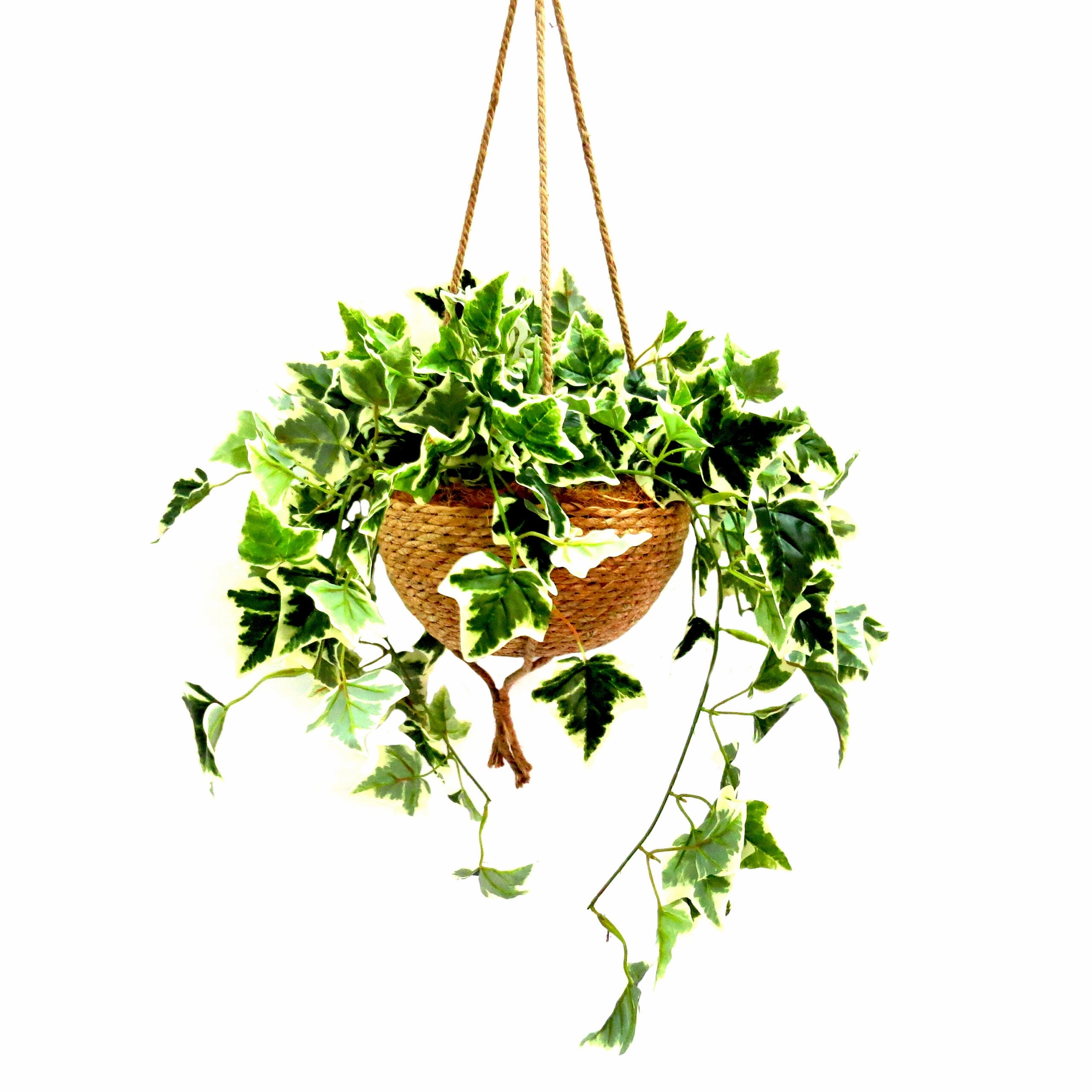 Habitat Hanging Plant Basket