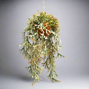 Hanging Staghorn Autumnal decorative home ornament