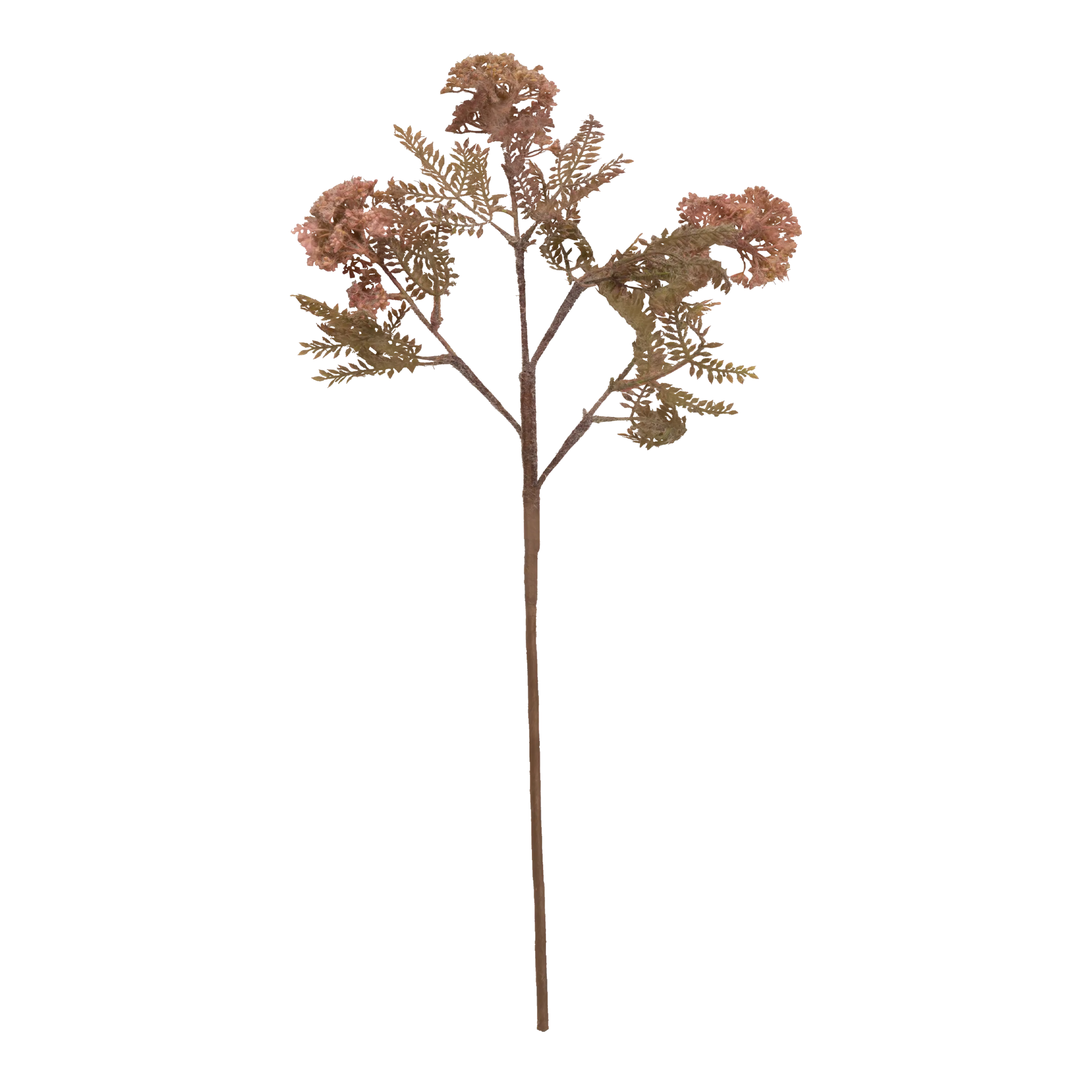 Hemlock Stem creative interior decor