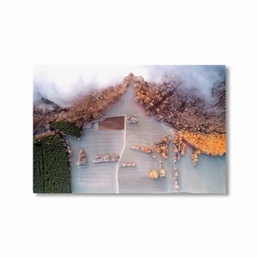 High Flight by Nenad Jovic framed mural artwork