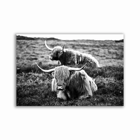 Highland Cows framed mural artwork