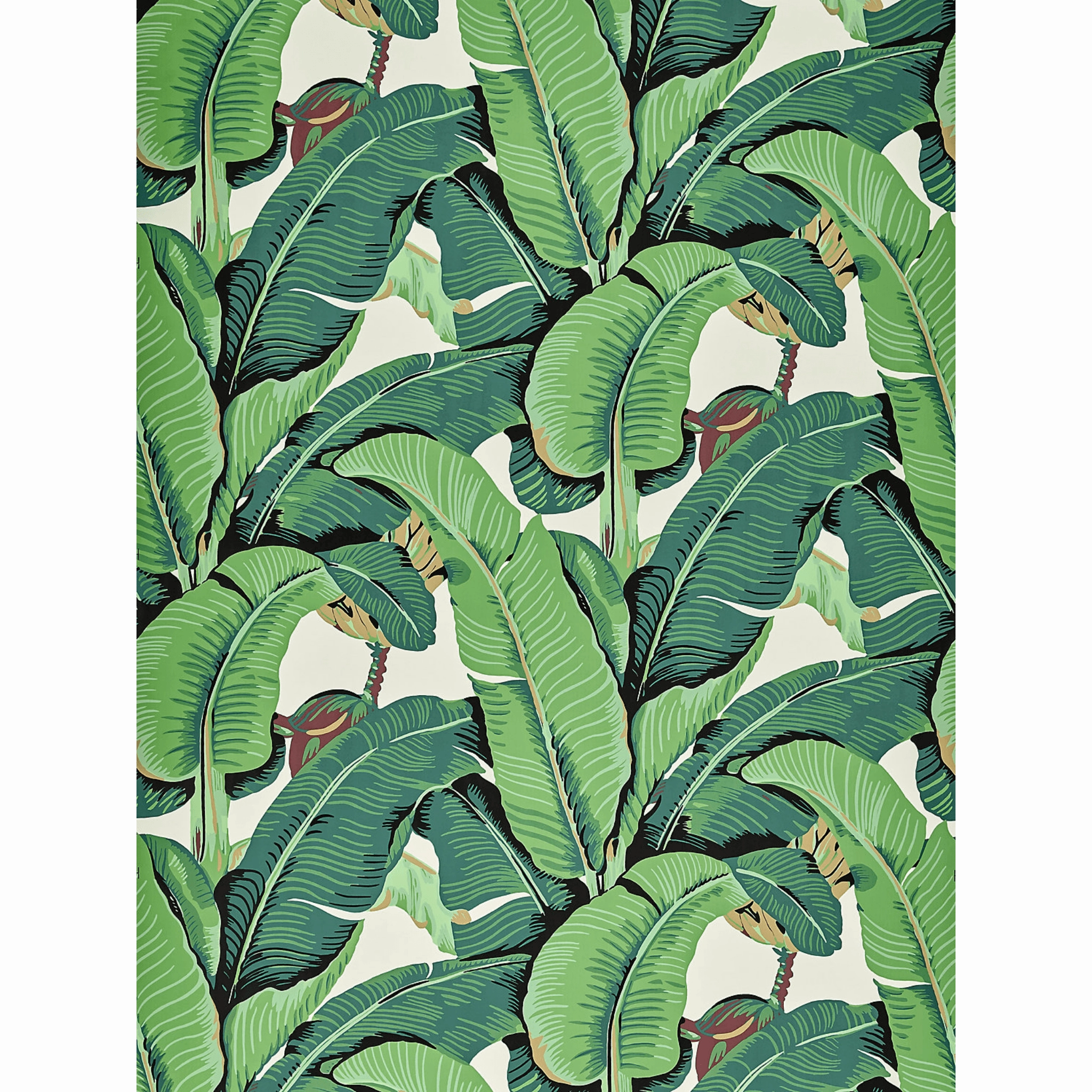 Hinson Green Palm Wallpaper in Wide Width