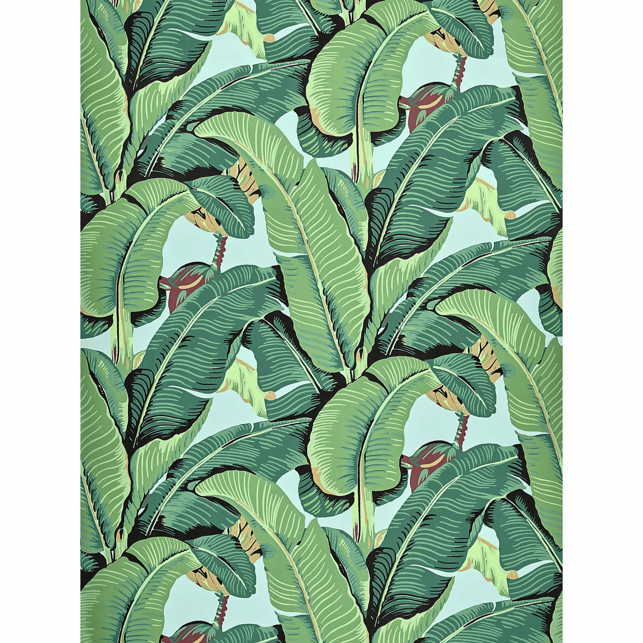 Hinson Sky Palm Wallpaper in Wide Width
