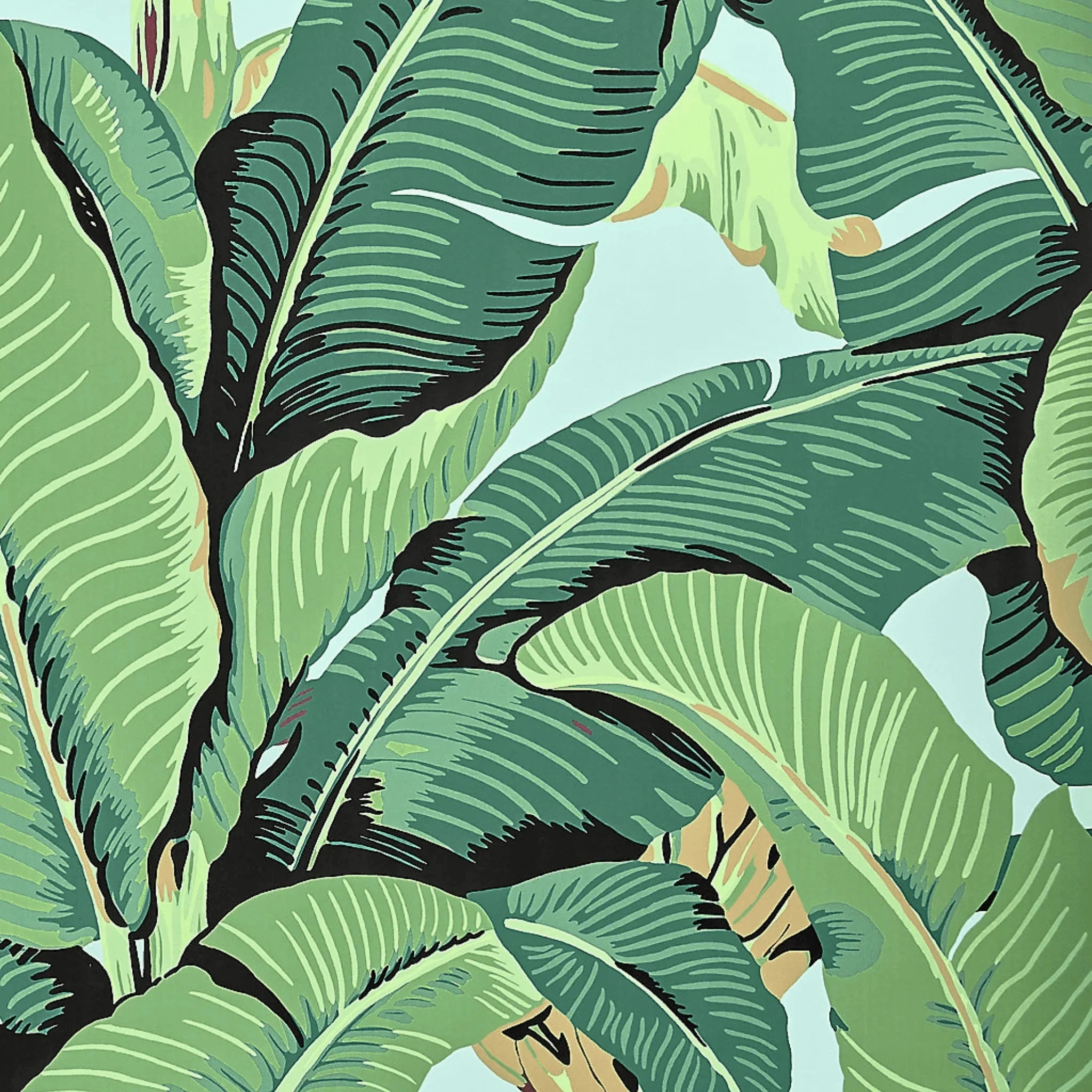 Hinson Sky Palm Wallpaper in Wide Width paper wall covering